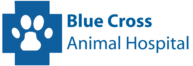 Blue Cross Animal Hospital Kitchener