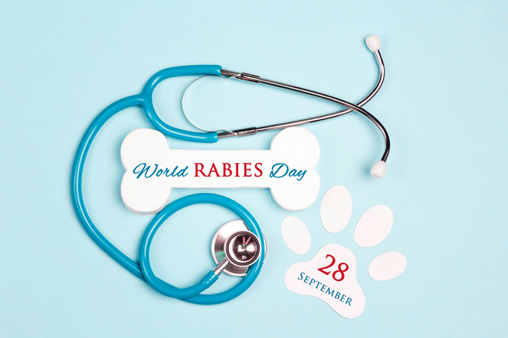 Rabies Awareness -World Rabies Day Sept 28th